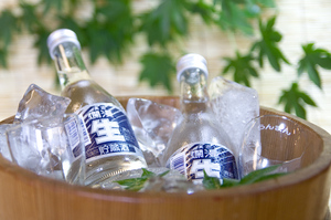 生貯蔵　氷１.jpg